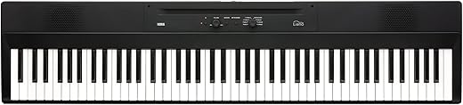 Top 6 Must-Have KORG Heritage Series Products Korg 88 Portable Digital Piano, Black