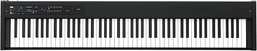 Top 6 Must-Have KORG Heritage Series Products Korg D1 88-Key Stage Piano Controller