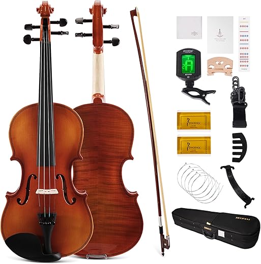 5 Best Violins for Every Musician PHOENIX 4/4 Violin Beginner Kit
