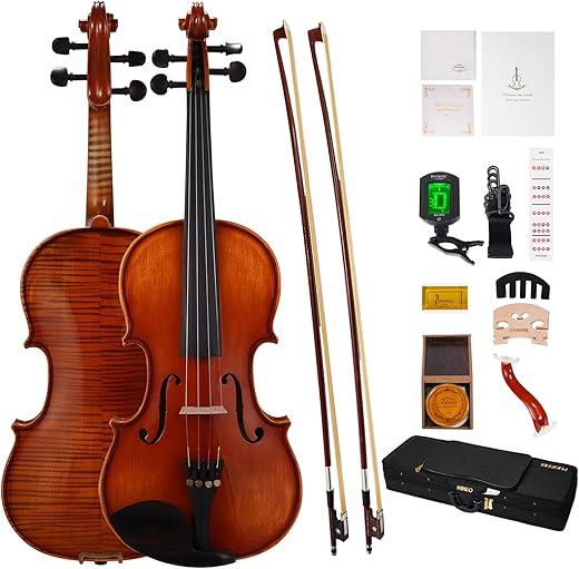 5 Best Violins for Every Musician PHOENIX Full Size Violin Set