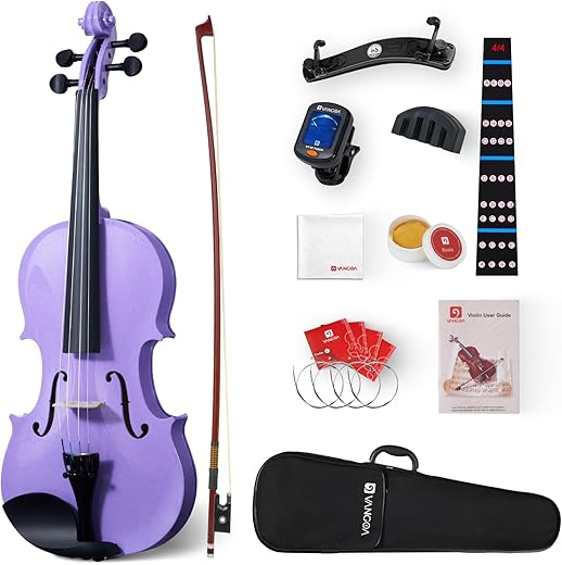 5 Best Violins for Every Musician Vangoa 4/4 Beginner Violin Set